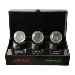 Pokémon FireRed Version Special Edition Nintendo Switch