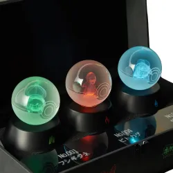 Pokémon FireRed Version Special Edition Nintendo Switch