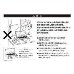 Pokémon LeafGreen Version Special Edition Nintendo Switch