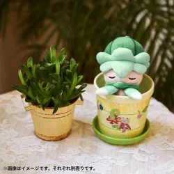 Flower Pot Pokémon Spring Full Bloom