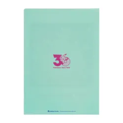 Clear File Pokémon Timeless Adventure Johto