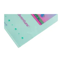 Clear File Pokémon Timeless Adventure Johto