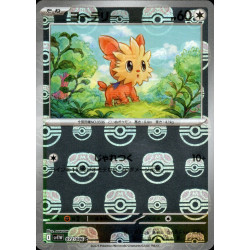 Lillipup MB 072/086 SV11W White Flare Pokémon Card