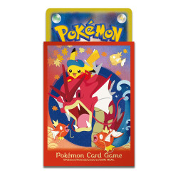 Special Box Pokémon Center Hiroshima R