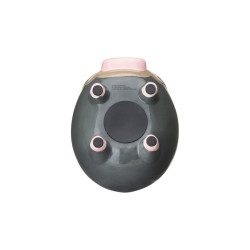 Piggy Bank Lechonk Pokémon