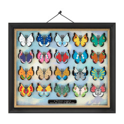 Vivillon Pins Complete Collection Pokémon