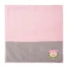 Imabari Guest Towel Slowpoke Pokémon Center Kagawa Grand Open
