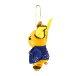 Mascot Raichu Pokémon Sento