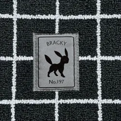 Pass Case Umbreon Pokémon Moko Moko Sagara