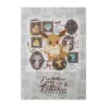 Clear File Eevee Pokémon Eevee Collection