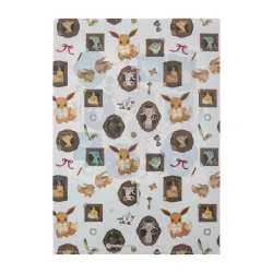 Clear File Eevee Pokémon Eevee Collection