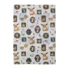 Clear File Eevee Pokémon Eevee Collection