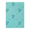 Clear File Glaceon Pokémon Eevee Collection