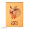 Clear File Flareon Pokémon Eevee Collection