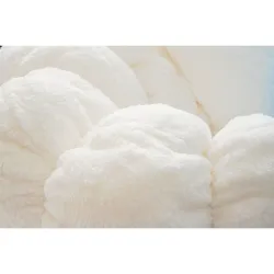 Plush Altaria Pokémon Life Size